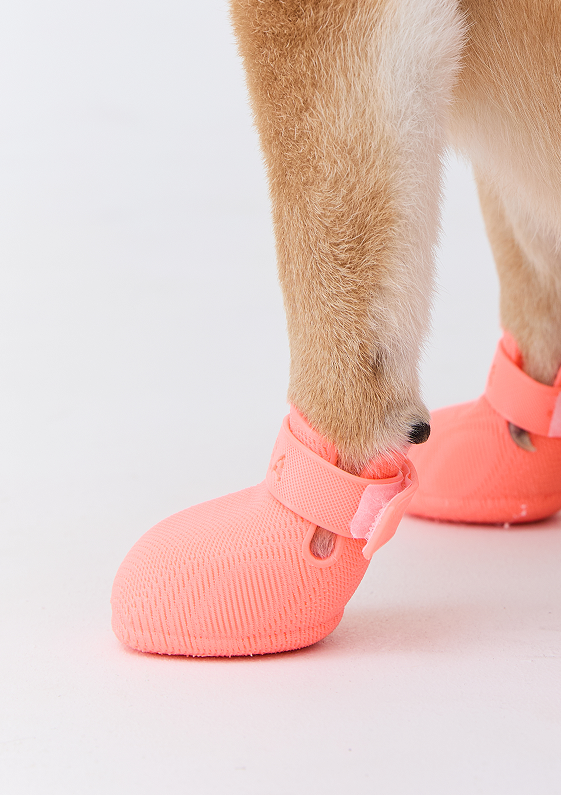 Canela Pawwear custom-fit booties