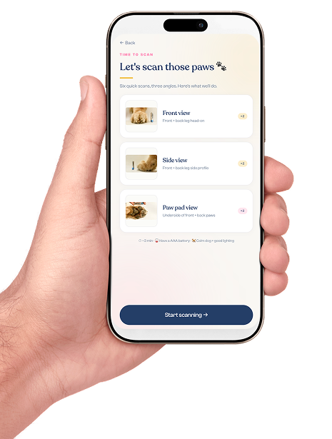 PawScan app — guided paw scanning